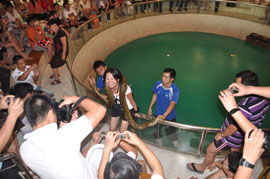 11月26日，“2010中脈普吉旅游獎勵活動”在滿載的歡笑中畫上了圓滿的句號。五天三夜的尊榮之旅，讓中脈優(yōu)秀經(jīng)銷商滿滿的感受了泰國普吉島的人文風(fēng)情，豐富了自己的人生體驗，更增添了對中脈直銷事業(yè)的熱愛。許多參游的家人都激動而又不無自豪的說：“公司這次組織的海外游讓我們享受了最大的榮耀，感受到了最無微不至的關(guān)懷。沖擊下年度的業(yè)績目標我們很有信心。下